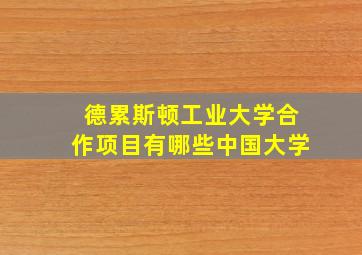 德累斯顿工业大学合作项目有哪些中国大学