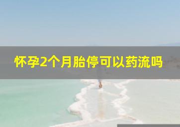 怀孕2个月胎停可以药流吗