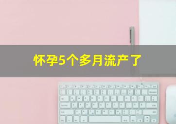 怀孕5个多月流产了