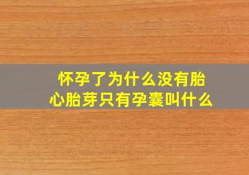 怀孕了为什么没有胎心胎芽只有孕囊叫什么