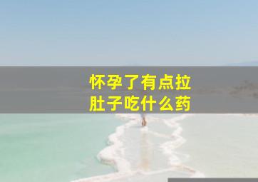 怀孕了有点拉肚子吃什么药