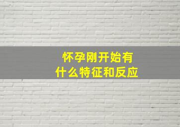 怀孕刚开始有什么特征和反应