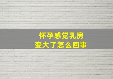 怀孕感觉乳房变大了怎么回事