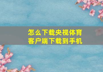 怎么下载央视体育客户端下载到手机