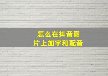 怎么在抖音图片上加字和配音