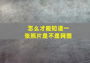 怎么才能知道一张照片是不是网图