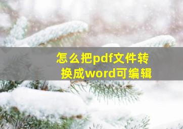 怎么把pdf文件转换成word可编辑