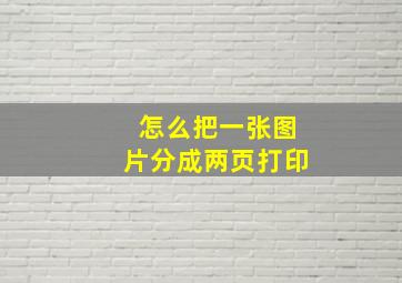 怎么把一张图片分成两页打印