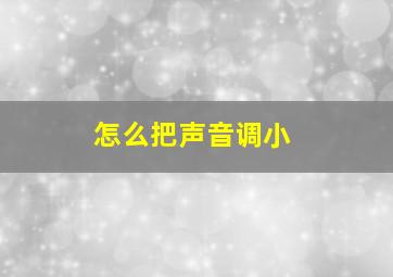 怎么把声音调小