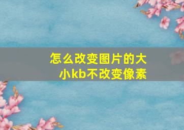 怎么改变图片的大小kb不改变像素