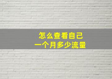 怎么查看自己一个月多少流量