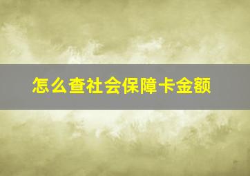 怎么查社会保障卡金额