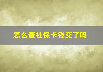 怎么查社保卡钱交了吗