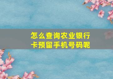 怎么查询农业银行卡预留手机号码呢