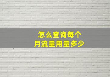 怎么查询每个月流量用量多少