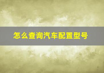 怎么查询汽车配置型号