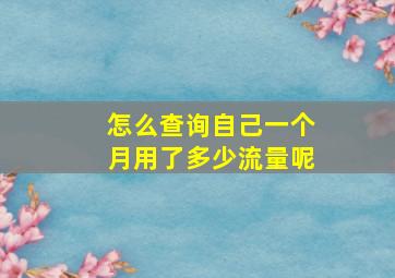 怎么查询自己一个月用了多少流量呢