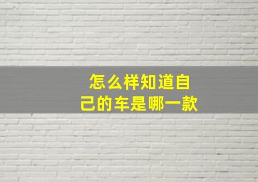 怎么样知道自己的车是哪一款