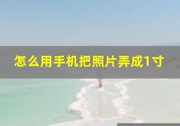 怎么用手机把照片弄成1寸