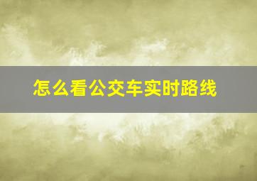 怎么看公交车实时路线