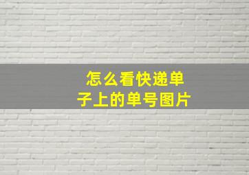 怎么看快递单子上的单号图片