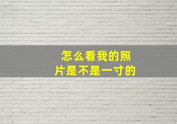 怎么看我的照片是不是一寸的