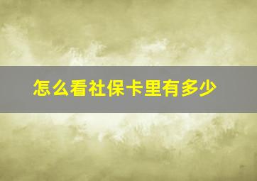 怎么看社保卡里有多少