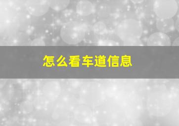 怎么看车道信息