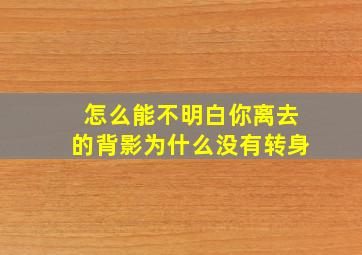 怎么能不明白你离去的背影为什么没有转身