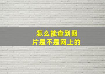 怎么能查到图片是不是网上的