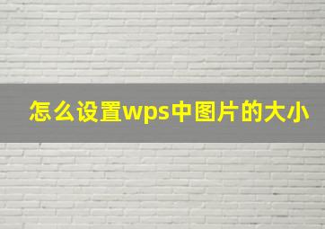 怎么设置wps中图片的大小