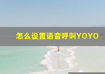 怎么设置语音呼叫YOYO