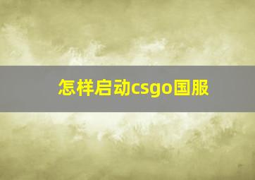 怎样启动csgo国服