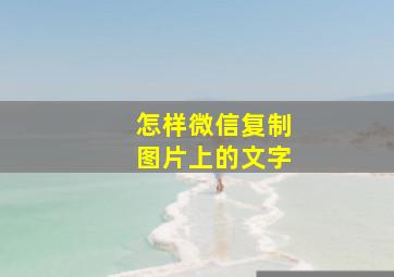 怎样微信复制图片上的文字