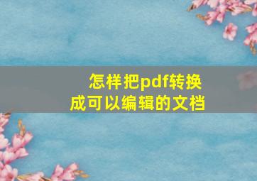 怎样把pdf转换成可以编辑的文档