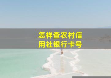 怎样查农村信用社银行卡号