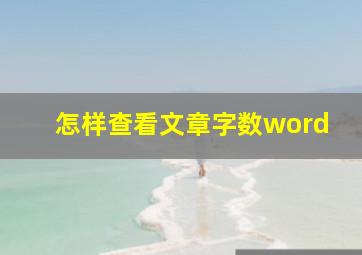 怎样查看文章字数word