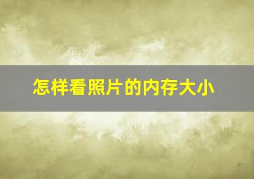 怎样看照片的内存大小