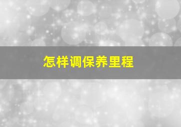 怎样调保养里程