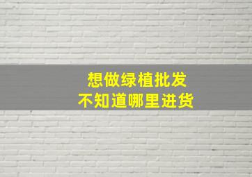 想做绿植批发不知道哪里进货