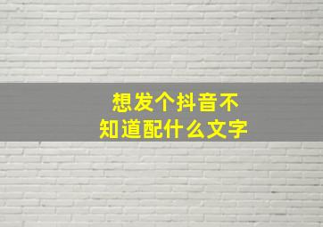 想发个抖音不知道配什么文字