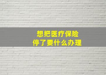 想把医疗保险停了要什么办理