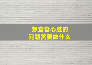 想查查心脏的问题需要做什么