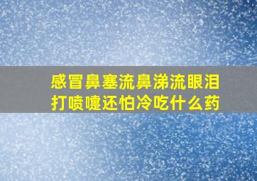 感冒鼻塞流鼻涕流眼泪打喷嚏还怕冷吃什么药