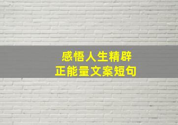 感悟人生精辟正能量文案短句