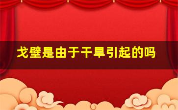 戈壁是由于干旱引起的吗