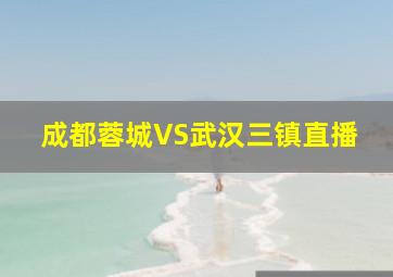 成都蓉城VS武汉三镇直播