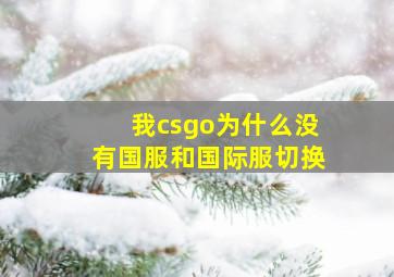 我csgo为什么没有国服和国际服切换