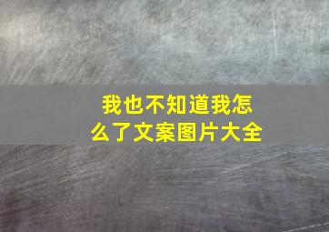 我也不知道我怎么了文案图片大全