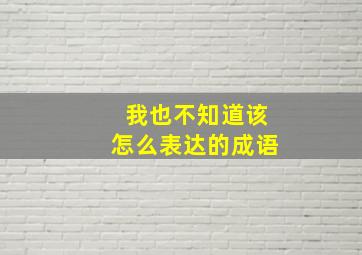 我也不知道该怎么表达的成语